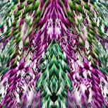 Colour:C