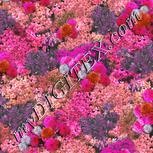 Colour:B