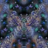 Colour:F