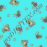 Colour:F