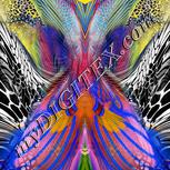 Colour:A