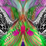 Colour:B