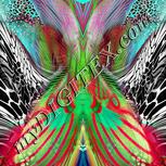 Colour:C