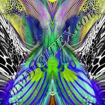 Colour:D