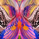 Colour:J