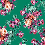Colour:B