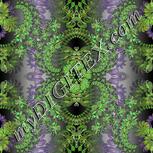 Colour:D