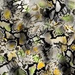 Colour:F