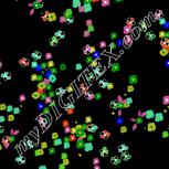 Colour:F