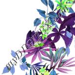 Colour:C