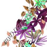Colour:D