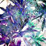 Colour:F
