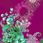 Colour:C