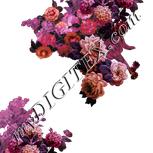 Colour:B