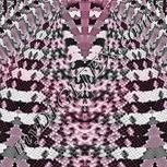 Colour:B
