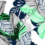Colour:A