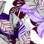 Colour:C