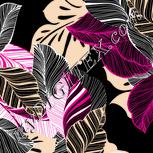Colour:F