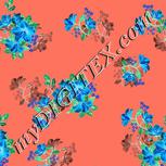 Colour:F