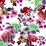 Colour:B