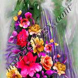Colour:B