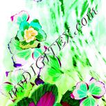 Colour:C