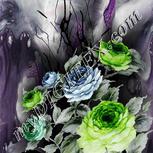 Colour:D