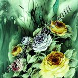 Colour:K