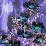 Colour:F
