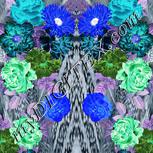 Colour:F