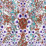 Colour:A