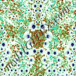 Colour:K