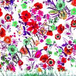 Colour:B
