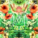 Colour:K