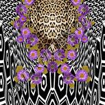 Colour:A