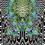 Colour:D
