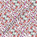 Colour:B