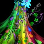 Colour:F