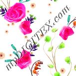 Colour:B