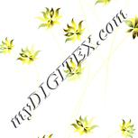 Colour:K