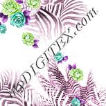 Colour:B