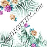 Colour:C