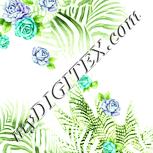 Colour:K