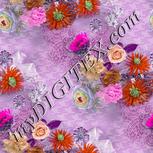Colour:B