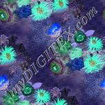 Colour:F
