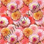 Colour:A
