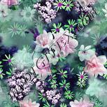 Colour:B