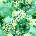 Colour:K