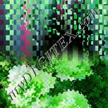 Colour:C
