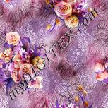 Colour:B